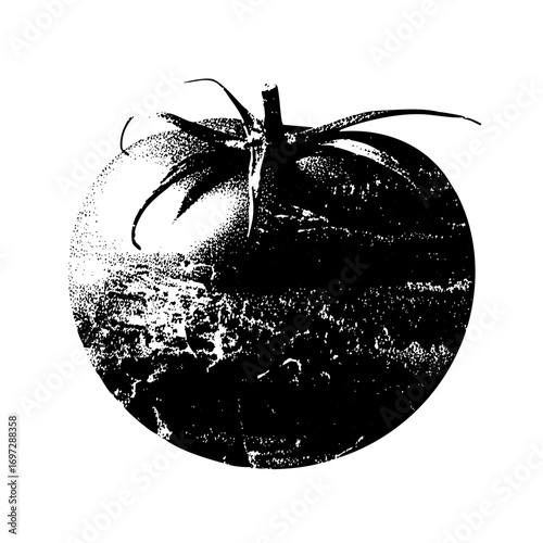 Vector Monochrome tomato with stem and calyx.