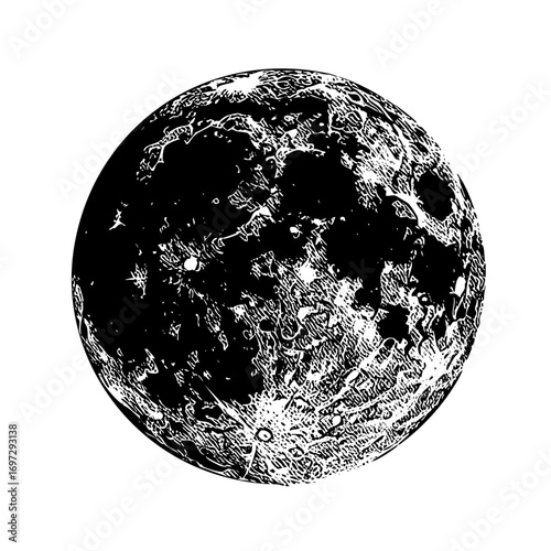 Vector Detailed lunar surface depicts craters and textures.