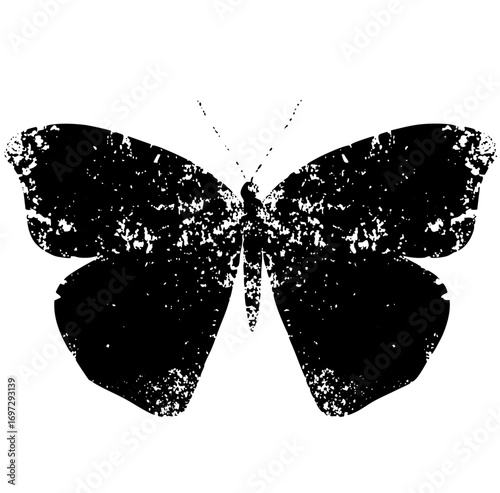 Vector Distressed monochrome butterfly with detailed wings.