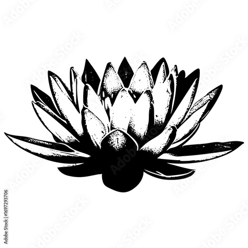 Vector Detailed floral lotus in monochrome style.
