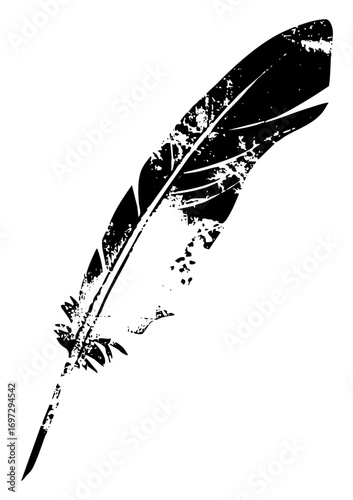 Vector Elegant feather quill in monochrome style.