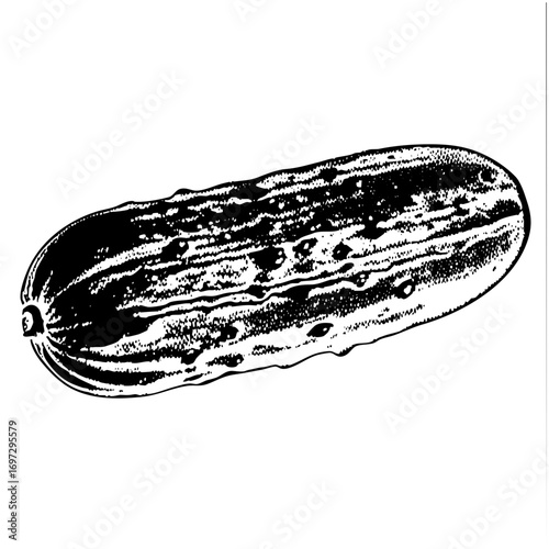 Vector Detailed of a textured cucumber vegetable.