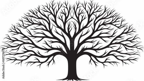 Elegant black silhouette of a sprawling tree with intricate branches reaching outwards symmetrically
