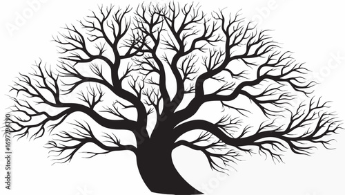 Striking silhouette of a bare deciduous tree, symbolizing growth, nature, and the cycle of seasons.