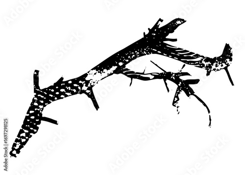 Vector Thorny Branch with Spiky Details