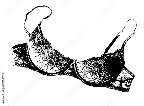 Vector Intricate lace bra with delicate straps.