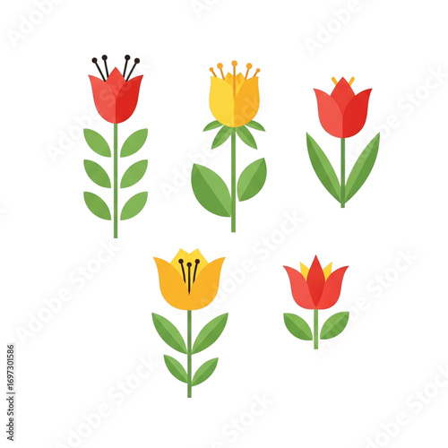 set of tulips