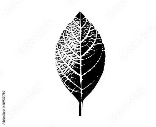 Vector Detailed leaf with fragmented .