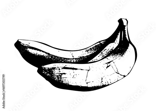 Vector Two bananas with a textured style.
