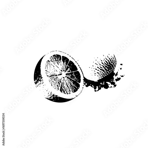 Vector Sliced citrus fruit with splash