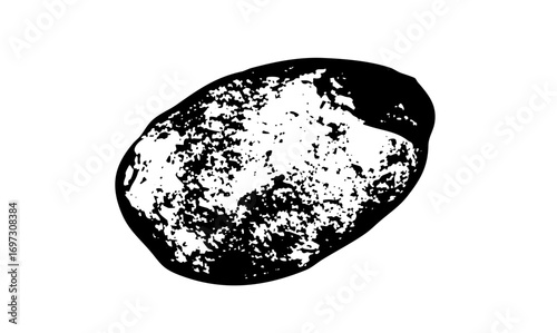Vector Textured potato with a rough speckled surface.