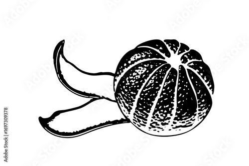 Vector Detailed of a peeled tangerine with a citrus peel.