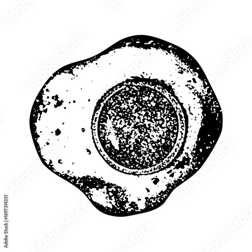 Vector Detailed of a fried egg with textured yolk and white.
