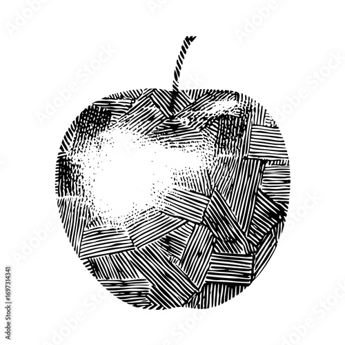 Vector Intricate with linear .