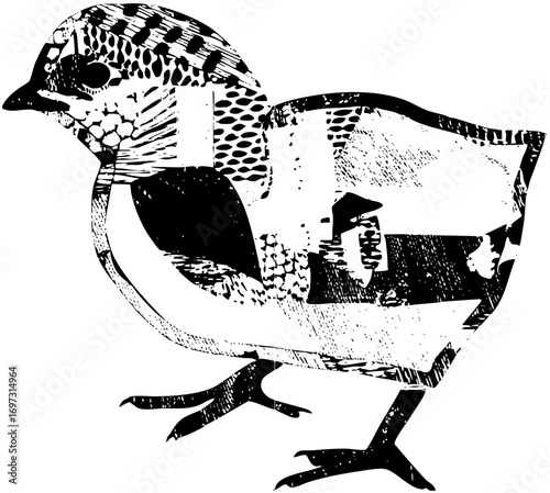 Vector Detailed of a speckled bird with prominent legs.