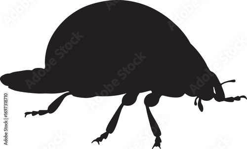 Isolated silhouette of a beetle walking with intricate legs and body