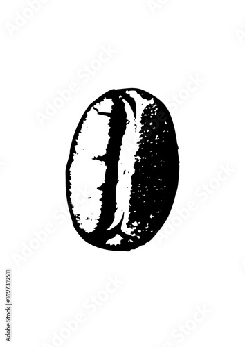 Vector Detailed black and white of a coffee bean.