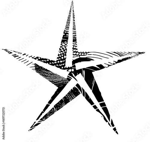 Vector Stylized swallow bird with detailed feather .