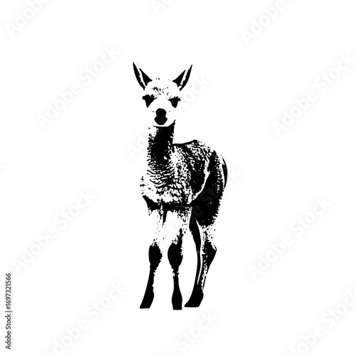 Vector Elegant alpaca in monochrome style.