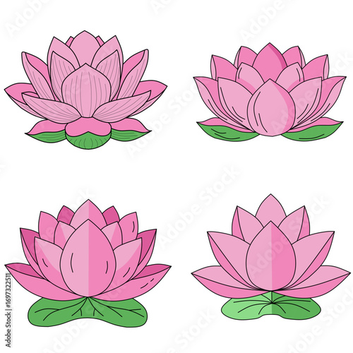 set of pink lotus flowers illustration 