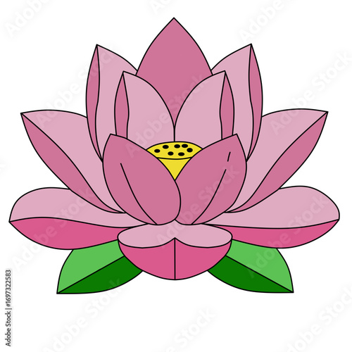 lotus flower vector illustration