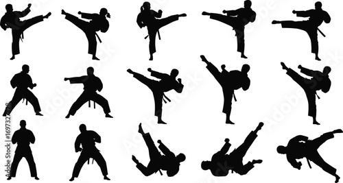 Martial arts silhouettes, karate kicks, taekwondo stances, combat training, self defense moves, sports discipline, power, strength, balance, fitness, practice, energy
