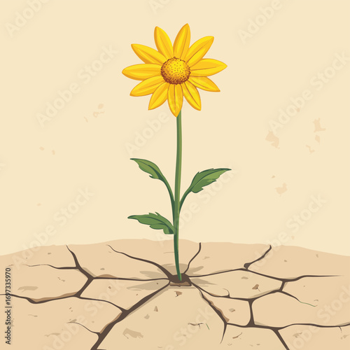 Resilient yellow flower blooming through cracked dry earth