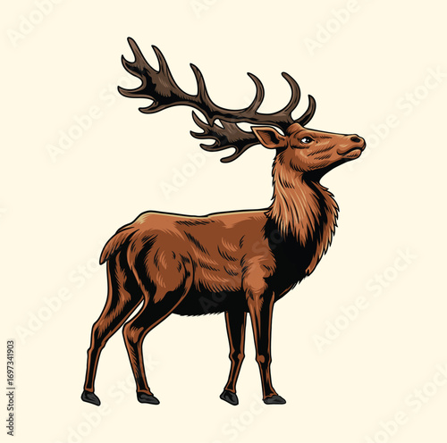 Standing deer illustration with hand drawing