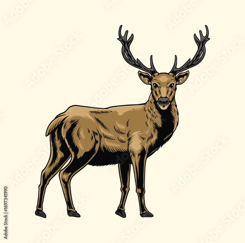 Standing deer illustration with hand drawing