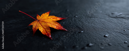 Autumn embrace japan's maple leaves capture summer warmth nature's artistry close-up tranquil environment