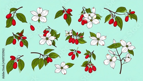 Wallpaper Mural Floral and berry illustration Torontodigital.ca