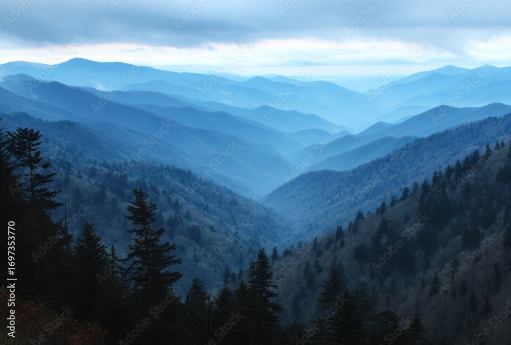 Obraz premium Layered blue mountain ranges stretch to the horizon under a cloudy sky, with evergreen trees silhouetted in the foreground