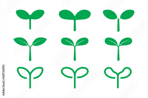 Plants grow in the soil. The growth phase of plants. Infographic of planting trees. Concept of evolution. Isolated vector illustration on a white background.