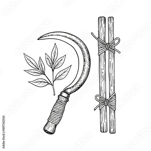 An illustration of a sickle, a sprig of leaves, and two bundled sticks tied with string.