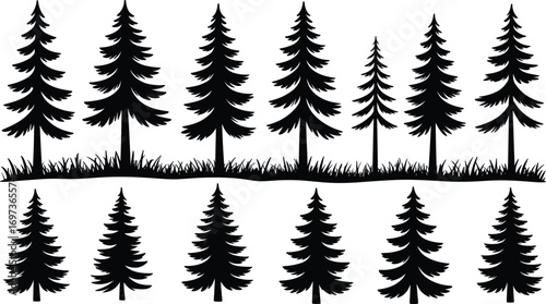 Pine Tree Silhouettes Vector Set with Grass, Evergreen Forest Clipart, Black Christmas Trees Illustration, Conifer Tree Icons Pack