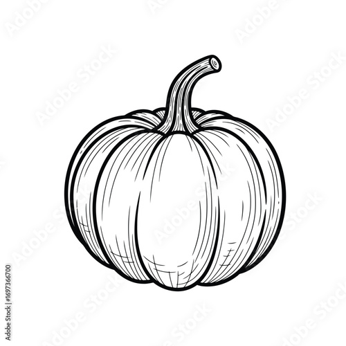 Black and white illustration of a pumpkin with a curved stem, showing detailed lines and shading.