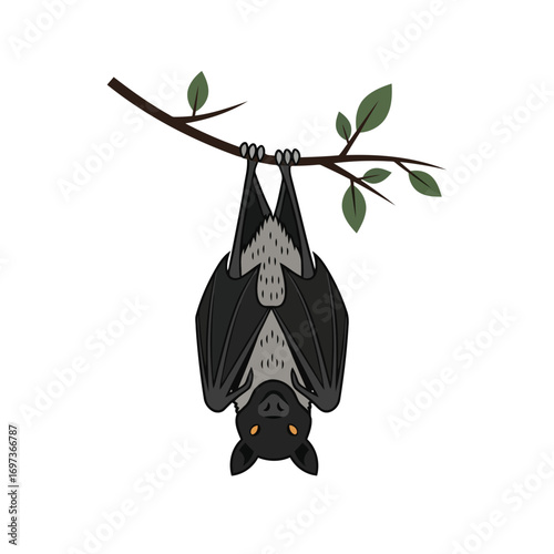 A black bat hanging upside down from a tree branch.