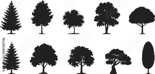 Vector Tree Silhouettes Set, Forest and Park Trees, Nature Elements Collection, Oak, Pine, Bonsai, Landscape Design Clipart Icons