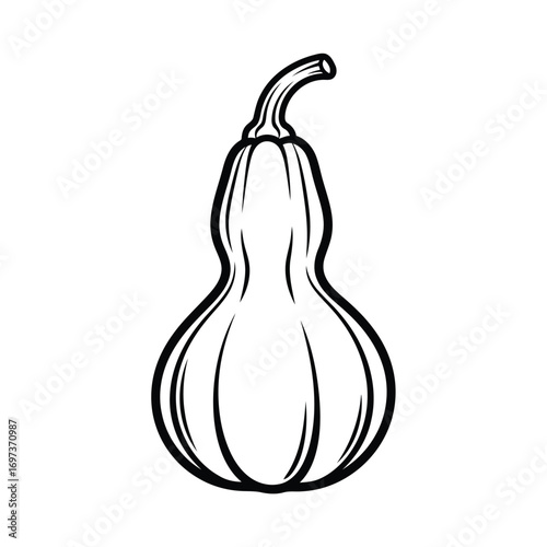 Detailed black and white line drawing of a decorative gourd or squash.