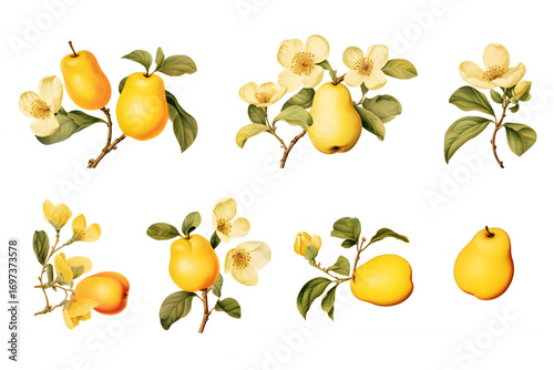Watercolor painting of lemon branches with yellow fruit and green leaves