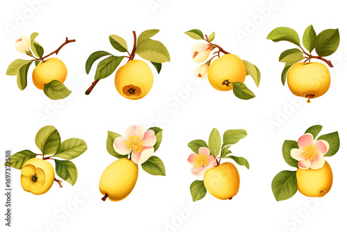 Watercolor painting of lemon branches with yellow fruit and green leaves