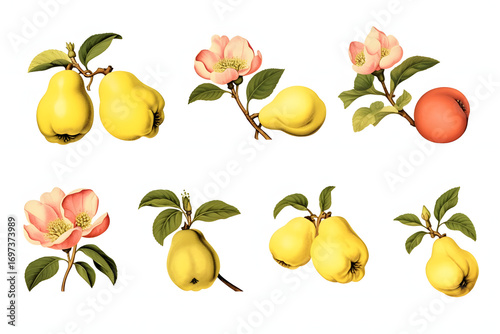 Watercolor painting of lemon branches with yellow fruit and green leaves