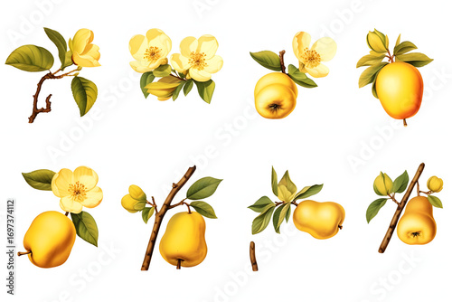 Watercolor painting of lemon branches with yellow fruit and green leaves