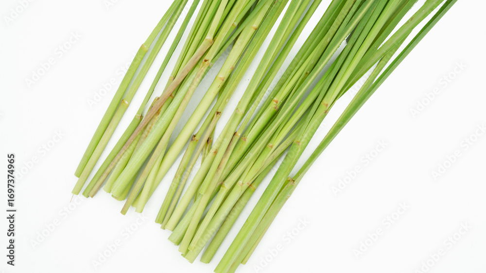 Fototapeta premium Lemon Grass. Herb plant