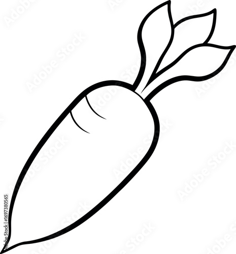 Stylized Daikon Radish Vegetable Line Drawing Illustration