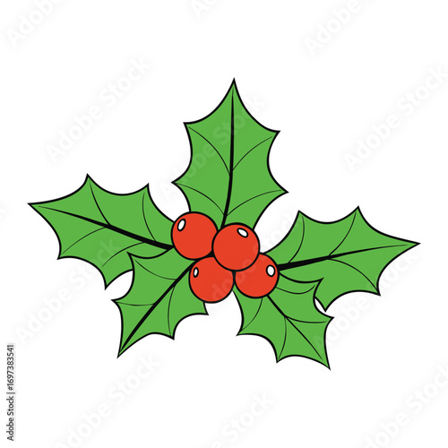 A festive holly branch with bright red berries and glossy green leaves, symbolizing Christmas cheer, holiday joy, and timeless seasonal beauty.

