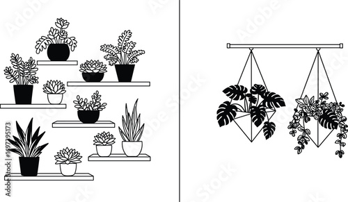 Modern indoor plants on shelves and hanging planters, home decor, greenery, botanical design, minimalist style, nature, plant collection