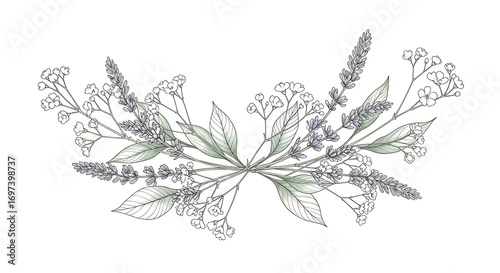 Wallpaper Mural Delicate Floral Arrangement of Lavender, Leaves, and Small White Flowers Torontodigital.ca