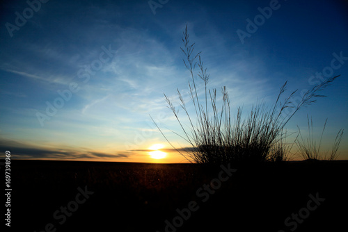 A stunning sunset view at Khuvsgul Lake in northern Mongolia, featuring the dark silhouettes of reeds against a glowing sky of golden yellow and deep blue tones. The peaceful scene captures the harmon
