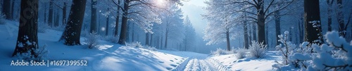 Enchanted forest scene in winter wonderland Frozen trees, glistening snow, magical atmosphere Perfect for fantasy, fairytale, holiday themes , frozen landscape, magical